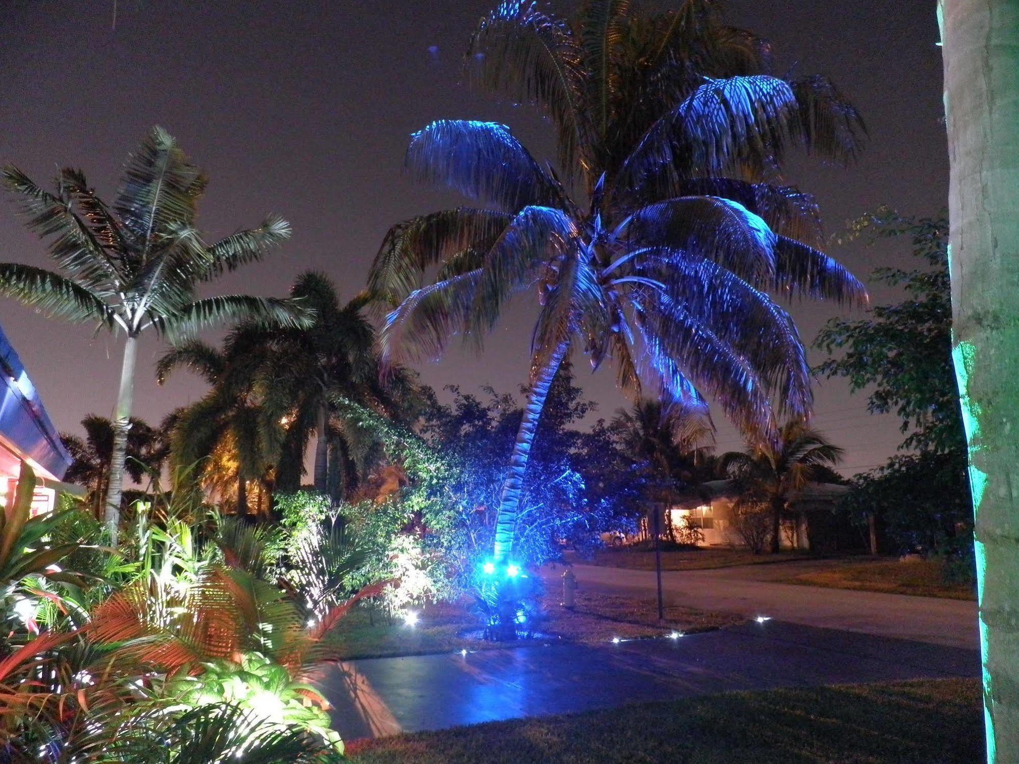 אוקלנד פארק Blue Ocean Guesthouse מראה חיצוני תמונה