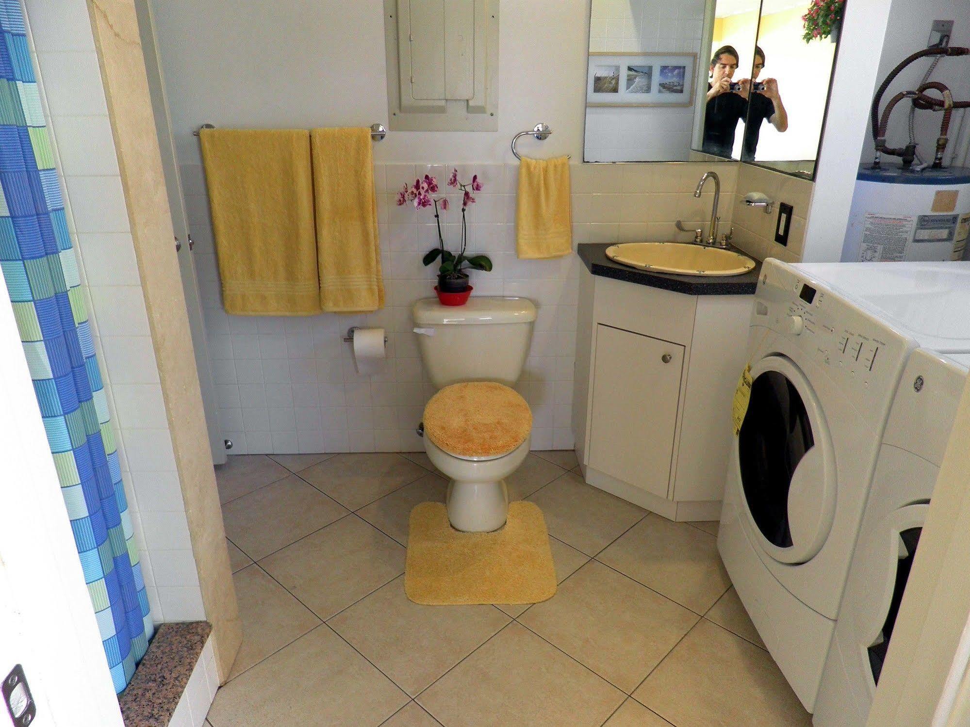 אוקלנד פארק Blue Ocean Guesthouse מראה חיצוני תמונה