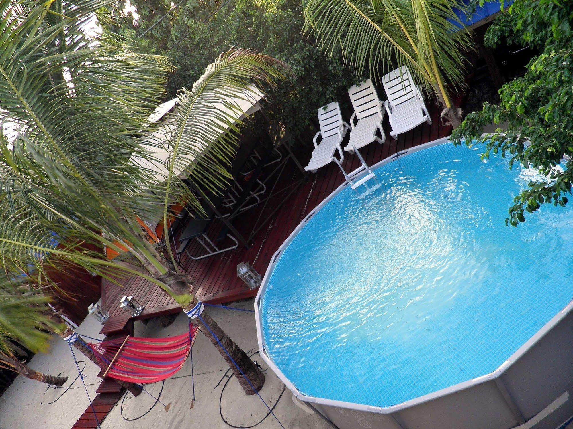 אוקלנד פארק Blue Ocean Guesthouse מראה חיצוני תמונה