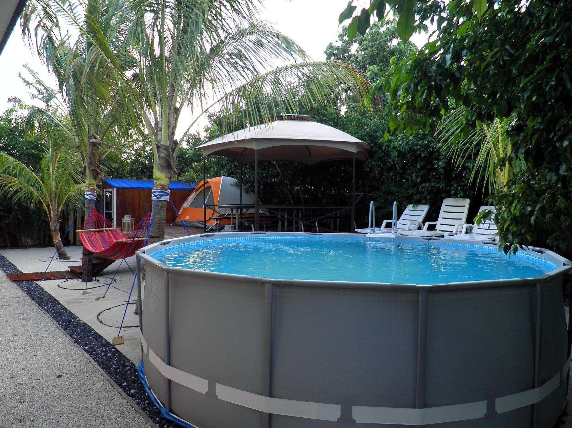 אוקלנד פארק Blue Ocean Guesthouse מראה חיצוני תמונה